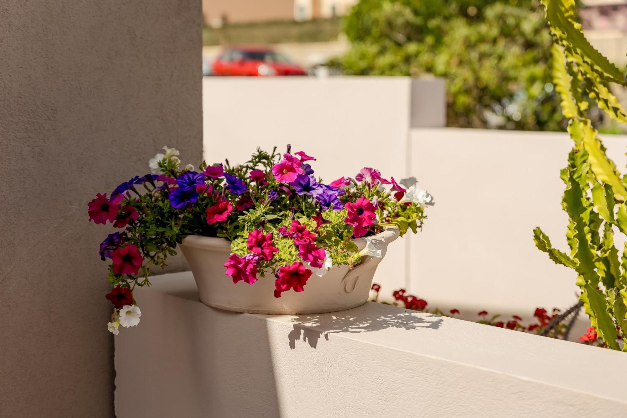 Sarpidon Suites Agia Marina  Exterior photo